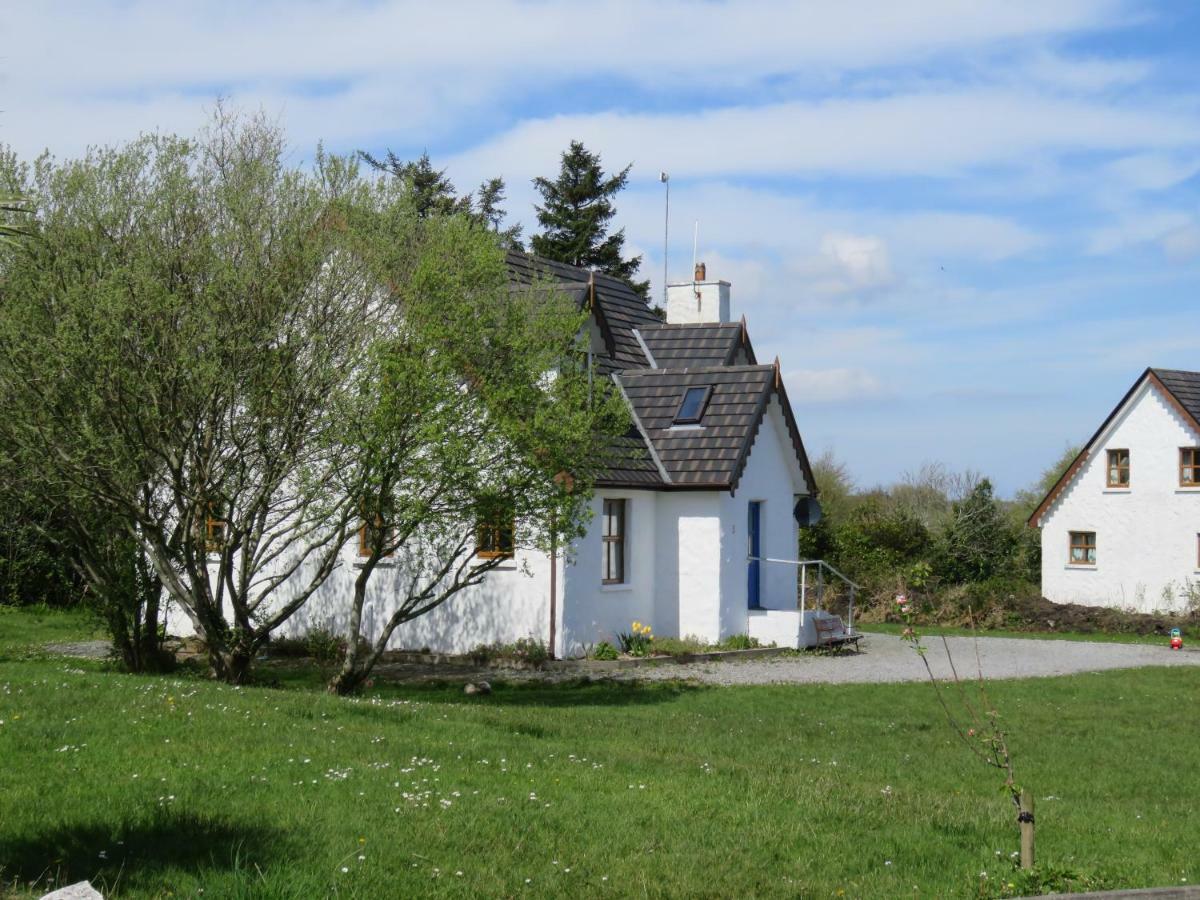 Letterfrack Farm Cottage In Village On A Farm Beside Connemara National Park Εξωτερικό φωτογραφία
